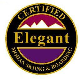 Certified Elegant Personal Achievement Award Pin.